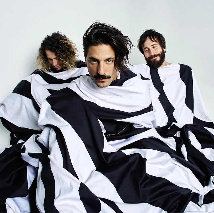 Foto de Sexy Zebras